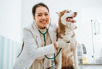 Veterinarian with dog